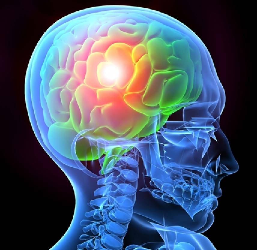 illustration of traumatic brain injury