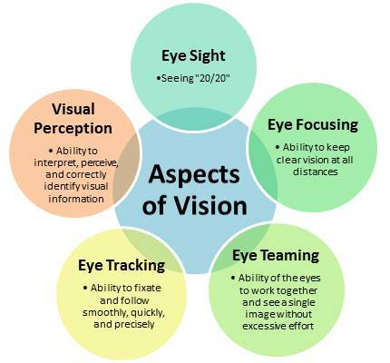 Vision Conditions