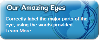 Our Amazing Eyes button with text: 'Correctly label the major parts of the eye, using the words provided.