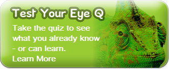 Test Your Eye Q button with text: 'Take the quiz to see what you already know - or can learn.